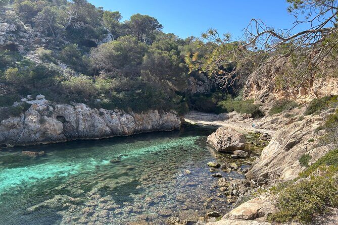 Mallorca Secret Coves Land Rover Private Tour - Is This Tour Worth It?