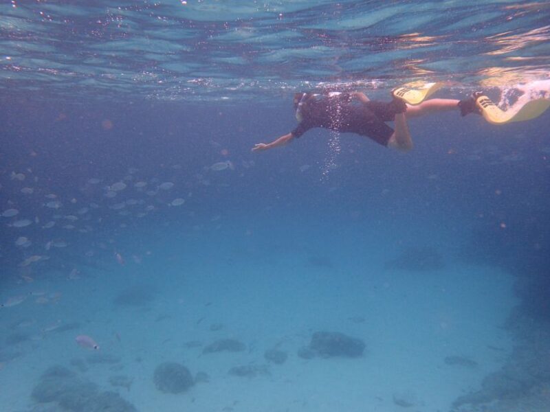 Mallorca: Snorkeling in a Beautiful Nature Reserve - The Value Proposition