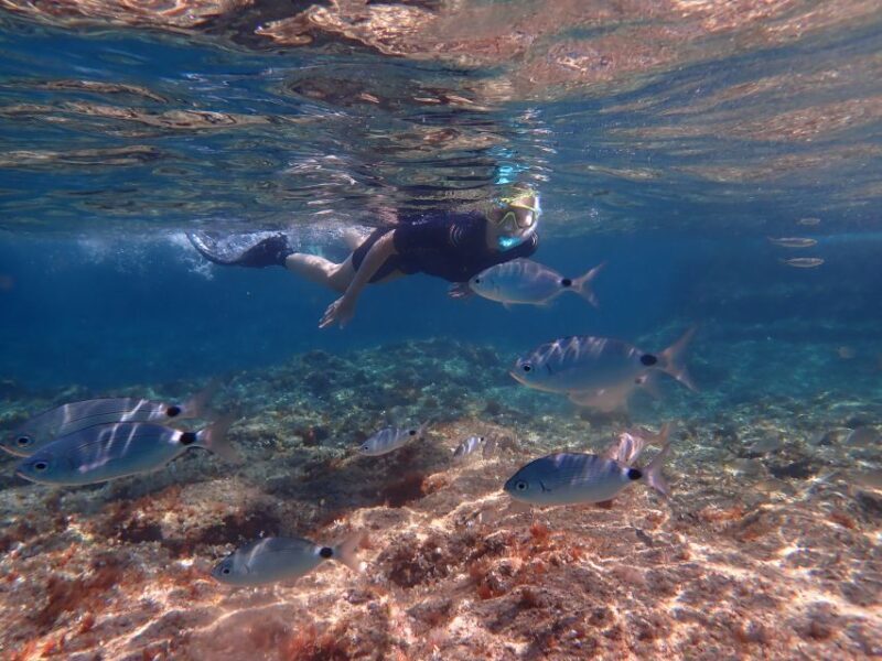 Mallorca: Snorkeling in a Beautiful Nature Reserve - FAQs