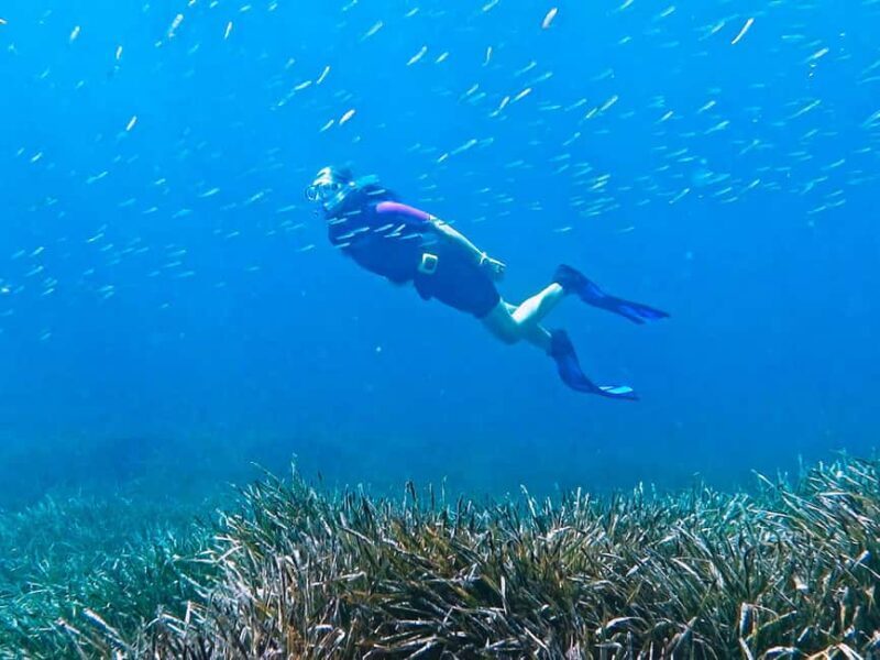 Mallorca: Snorkeling tour with diving instructor from a boat - Cap de Formentor - The Sum Up