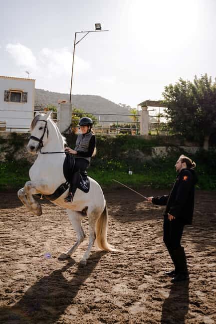 Mallorca: Spanish Classical High School Riding Lesson - Practical Details and What to Expect