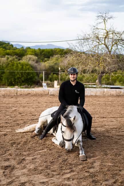 Mallorca: Spanish Classical High School Riding Lesson - FAQs