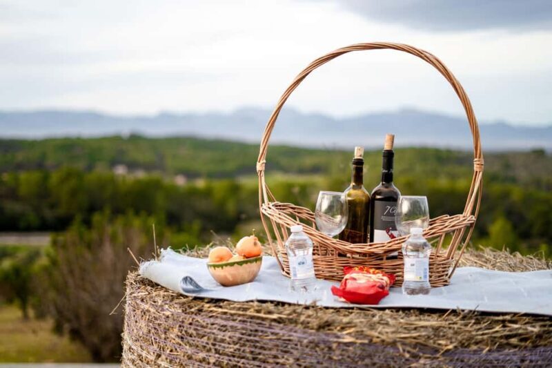 Mallorca: Sunset Horseback Ride with Drinks - Key Points