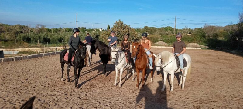 Mallorca: Sunset Horseback Ride with Drinks - Practical Details: What You Need to Know