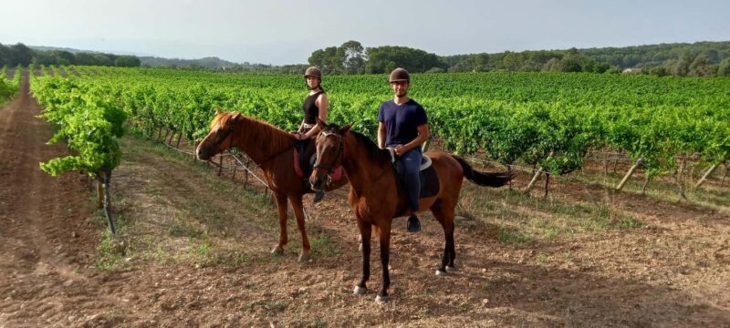 Mallorca: Sunset Horseback Ride with Drinks - The Value of the Experience