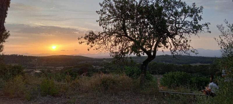 Mallorca: Sunset Horseback Ride with Drinks - Who Will Love This Tour?