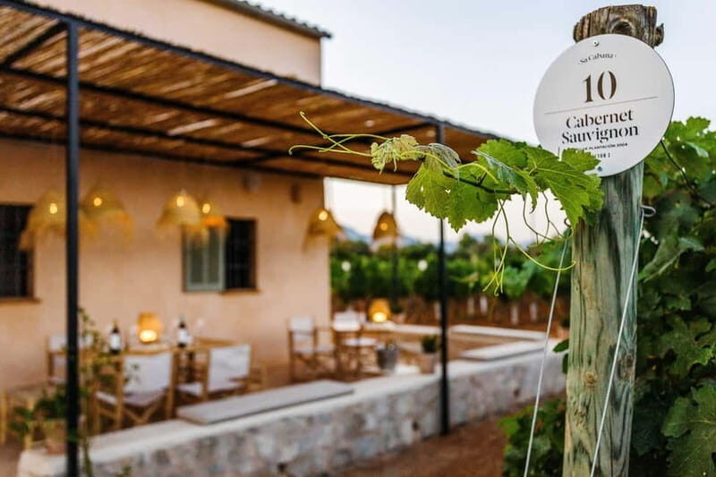 Mallorca: Sunset Wine Tasting Minibus Bodega Tour - Final Thoughts