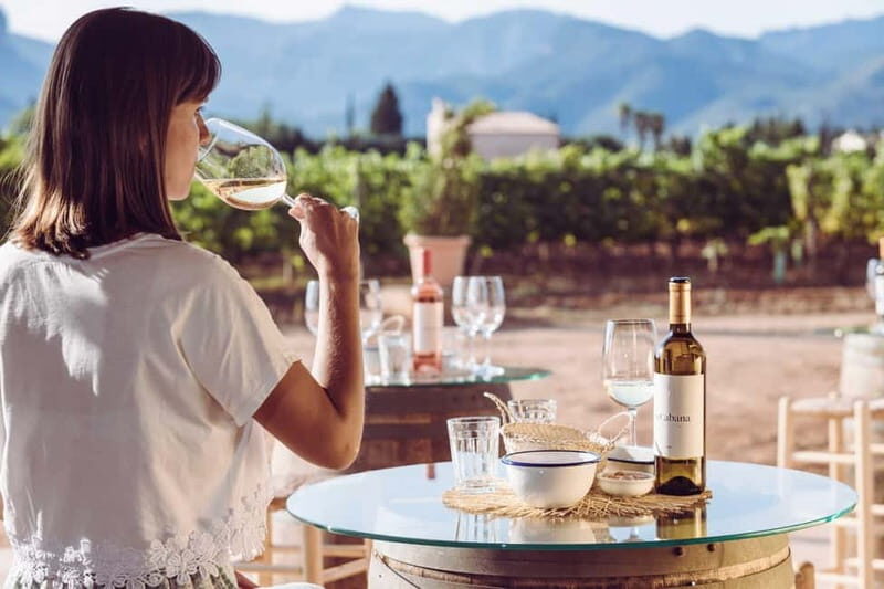 Mallorca: Sunset Wine Tasting Minibus Bodega Tour - FAQ