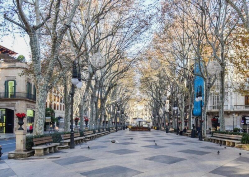 Mallorca: Transfer to Palma self-guided Tour - A Deep Dive Into Your Palma Day