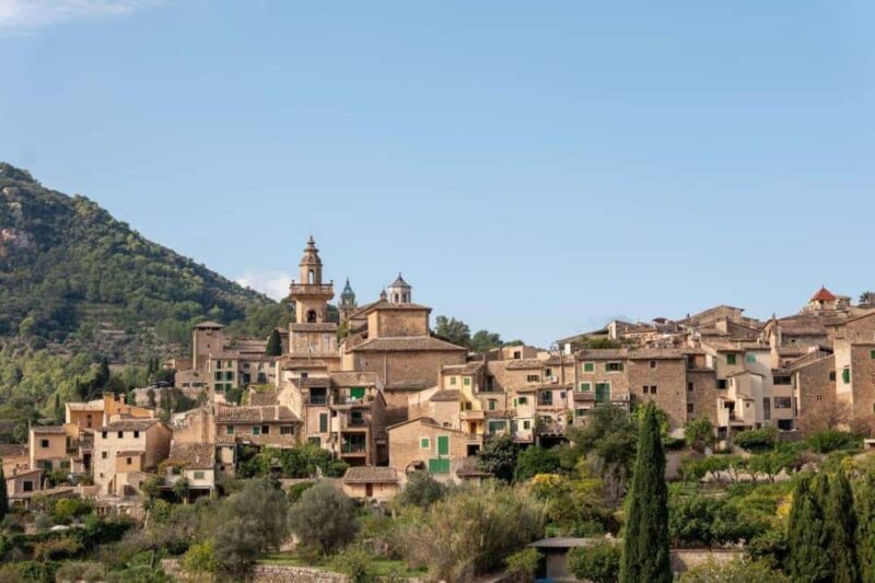 Mallorca: Valldemossa Tour and Tasting at Macià Batle - Small Group Tour - Who Will Love This Tour?