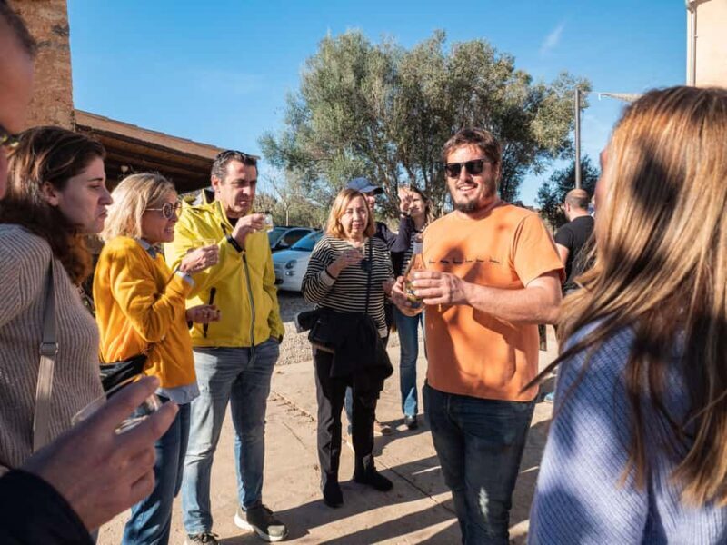 Mallorca: Visit a winery and enjoy a wine tasting, along with some Mallorcan products - Logistics and Practical Details