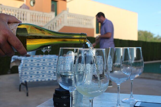 Mallorca Wine and Cheese Tasting - The Value for Money