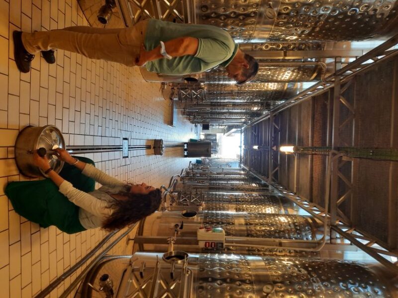 Mallorca: Wine Cellar Tour XL - including 3 Wine Tastings - Final Thoughts