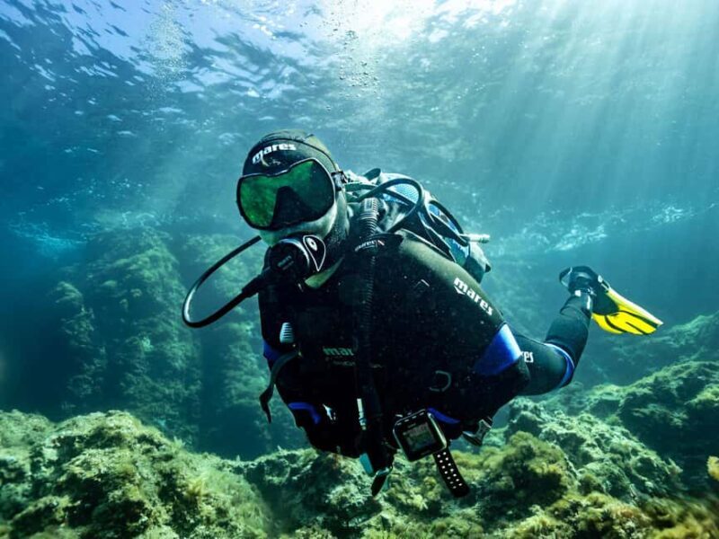 Mallorca: Winter diving adventure (for certified divers) - Key Points