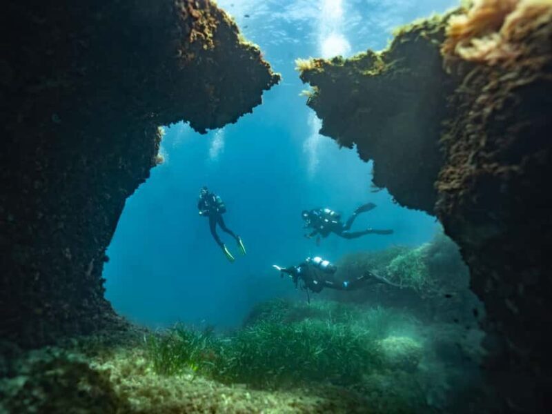 Mallorca: Winter diving adventure (for certified divers) - A Closer Look at the Mallorca Winter Diving Tour
