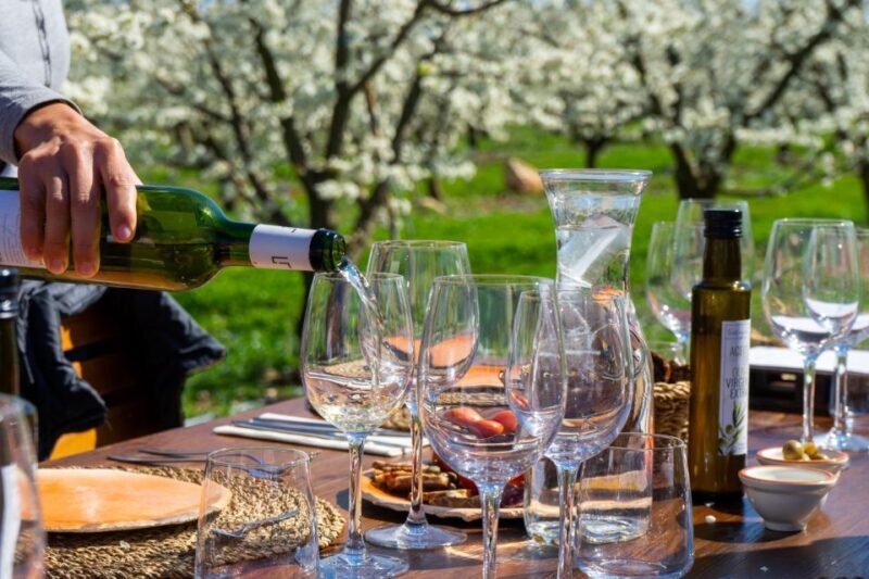 Mallorcas Emblematic Wineries Small Group Tour, two wineries - Key Points