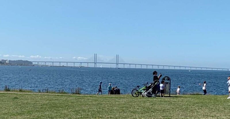 Malmö: 3-Hour Guided Walking Tour - The Value of a Guided Tour