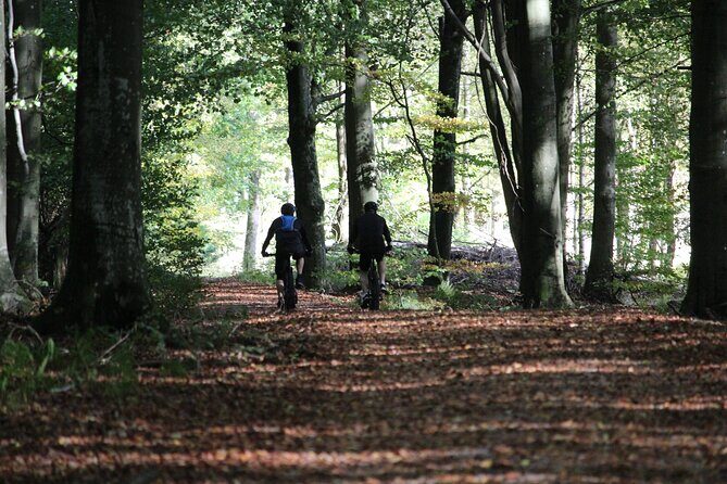 Malmo Bike Rental - What to Expect on Your Bike Adventure