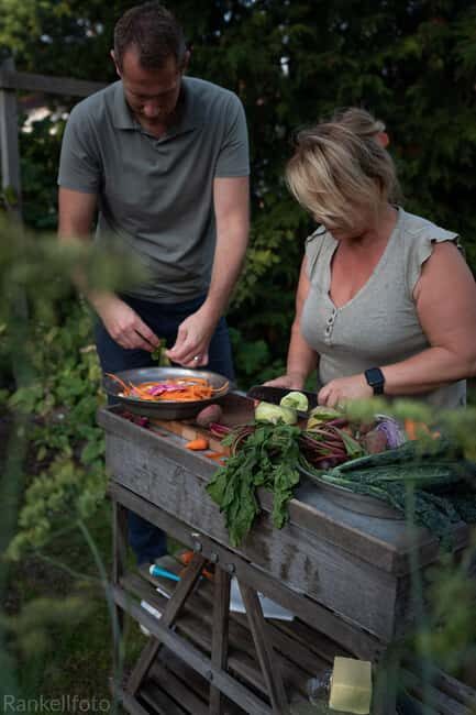 Malmö: Swedish Family Home Lunch Experience - The Details: How It Works