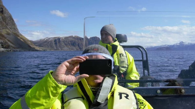 Måløy: RIB Boat Safari - Key Points