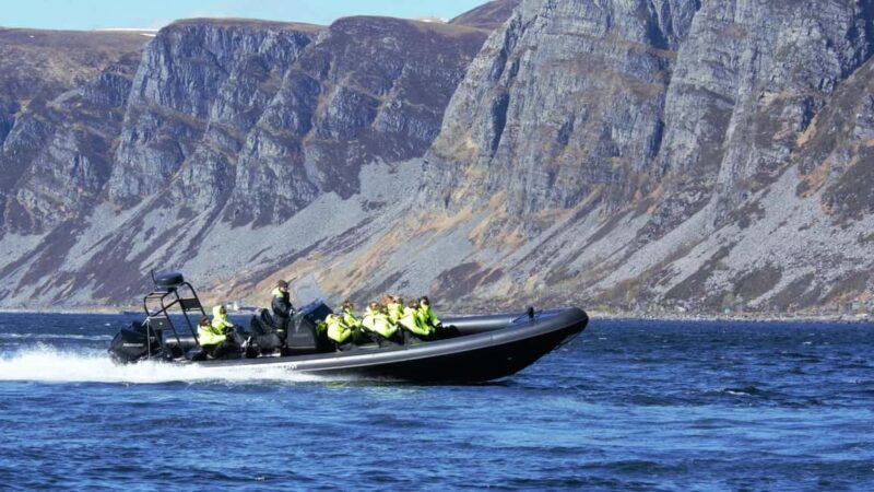 Måløy: RIB Boat Safari - An Inside Look at the RIB Boat Safari from Måløy