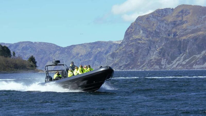 Måløy: RIB Boat Safari - Practical Details and Considerations