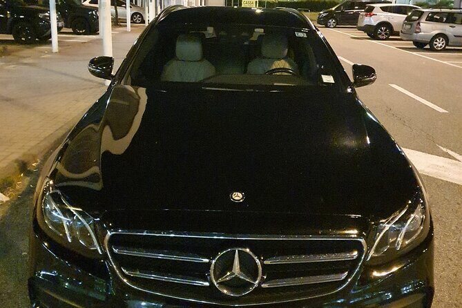 Malpensa Airport Milan (MXP) to Como - Arrival Private Transfer - Who Will Appreciate This Service?