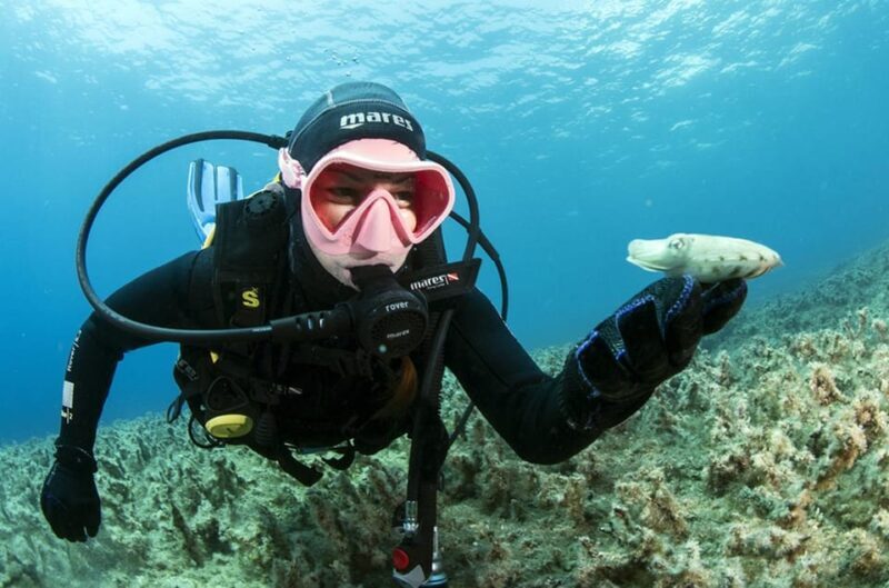 Malta: 1-Day PADI Scuba Diver Certification Beginner Course - What to Expect from the Malta PADI Scuba Diver Course