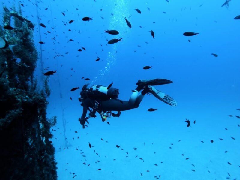 Malta: 2 Scuba Fun Dives for Certified divers - What’s on Offer?