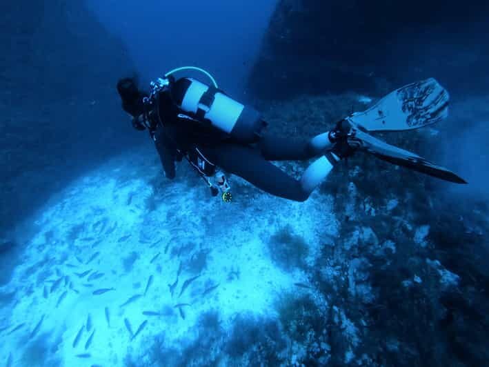 Malta: 2 Scuba Fun Dives for Certified divers - The Diving Sites & Underwater Highlights