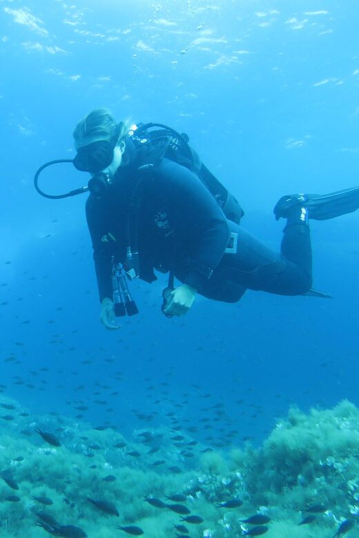 Malta: 2 Scuba Fun Dives for Certified divers - Who Is This Tour For?