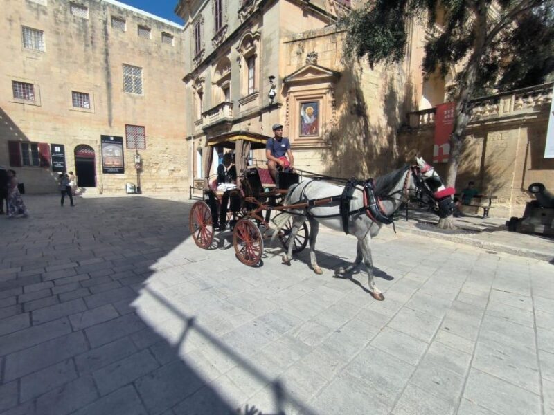 Malta: Ancient Wonders, Coastal Charms, and Cities Tour - Who Is This Tour Best For?