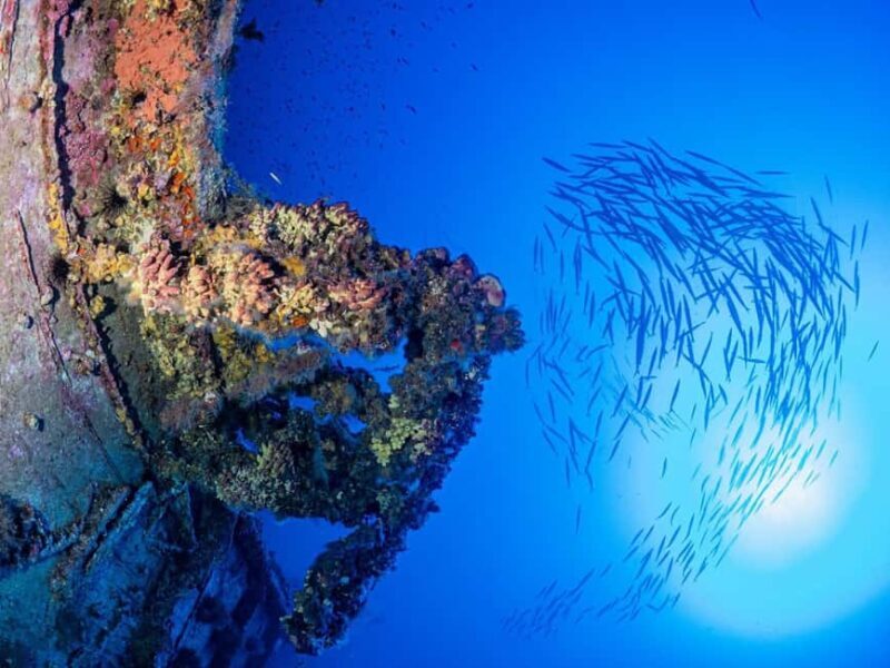 Malta: Discover Scuba Diving 2 Dives With Shipwreck Dive - The Details That Matter