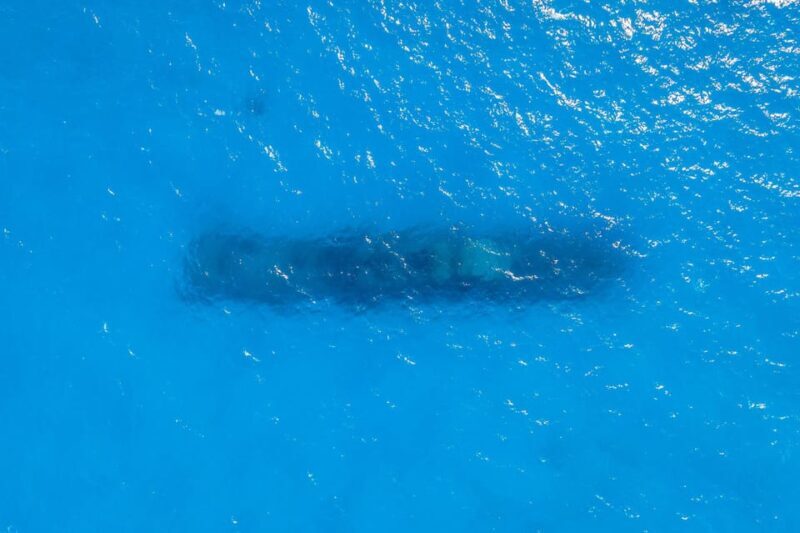 Malta, Gozo & Comino: Archipelago Charter. Duration 8 hours. - Key Points