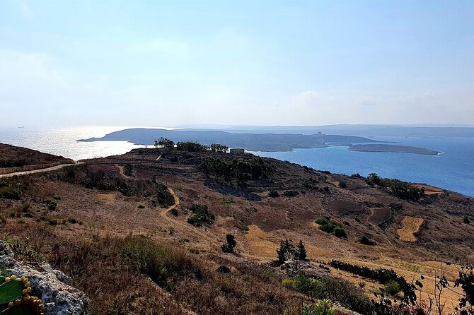 Malta: Gozo Full Day Buggy Tour with lunch and Comino Stop - The Ferry Crossing and What to Expect