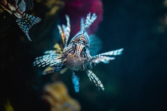 Malta National Aquarium Entrance Ticket - FAQ