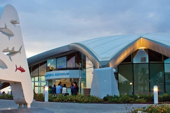 Malta Private Minivan Tour: Popeye village/Mdina/Valletta & Many More - Who Is This Tour Best For?