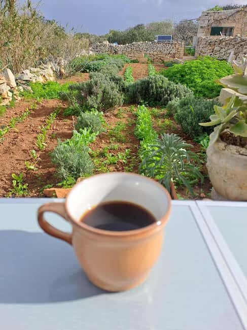 Malta: Soap Making Workshop - Final Thoughts