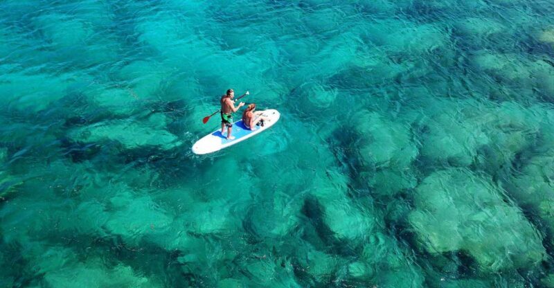 Malta: SUP Rental - Is it Worth the Price?