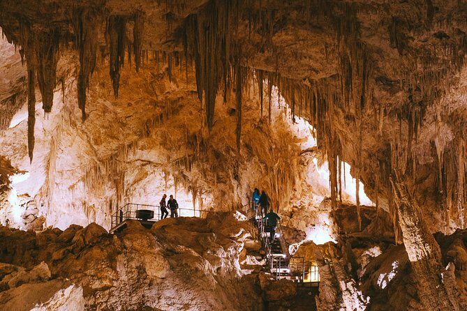 Mammoth Cave Self-guided Audio Tour (Located in Western Australia) - What Is the Mammoth Cave Self-guided Audio Tour?
