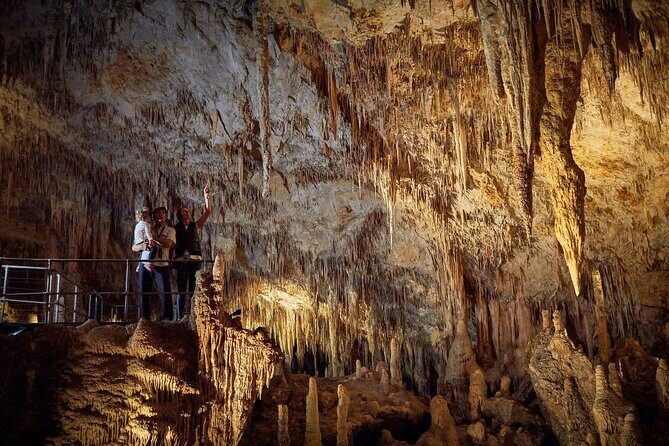 Mammoth Cave Self-guided Audio Tour (Located in Western Australia) - Who Is This Tour Best For?