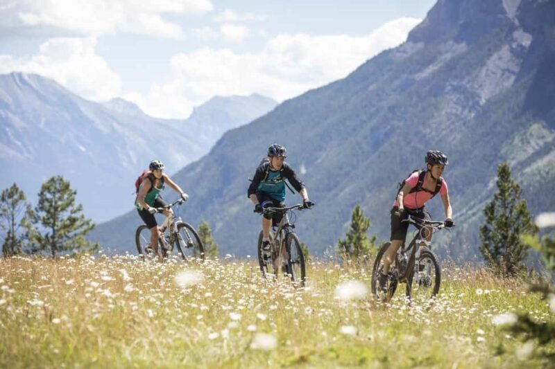 Mammoth: Half-Day Premium Mountain Bike or E-Bike Rental - Key Points