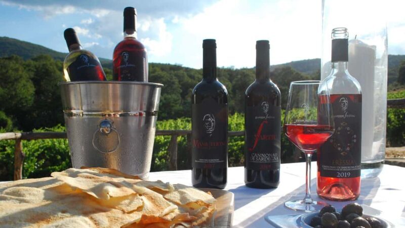 Mamoiada: visit a winery with wine tasting - Discovering a Sardinian Winery in Mamoiada: A Friendly Look