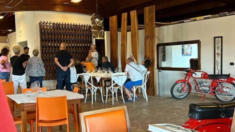 Mamoiada: visit a winery with wine tasting - Who Should Consider This Tour?