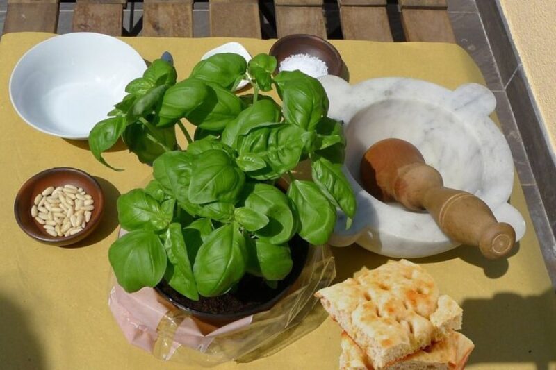 Manarola: Authentic Pesto Making Class at Cinque Terre - Who Will Appreciate This Tour?