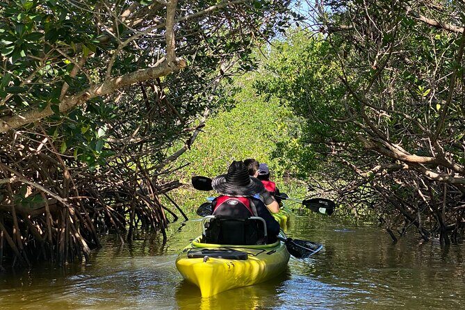 Manatee and Dolphin Kayak Tour - Key Points