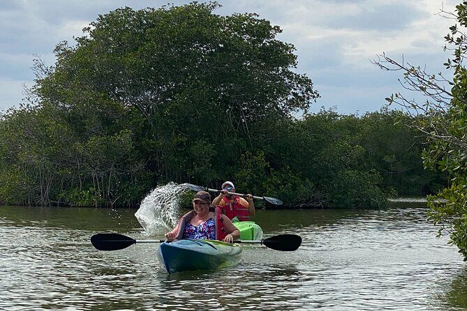 Manatee and Dolphin Kayak Tour - Final Thoughts
