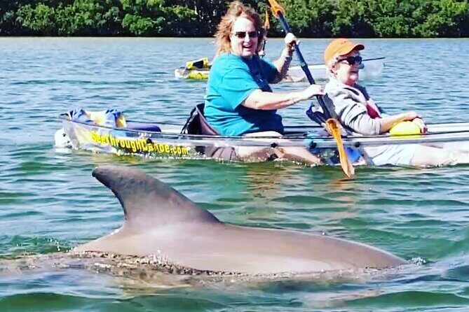 Manatee And Dolphin Tour - What to Expect from the Manatee And Dolphin Tour