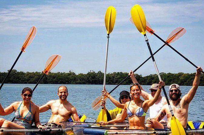 Manatee And Dolphin Tour - Who Would Love This Tour?