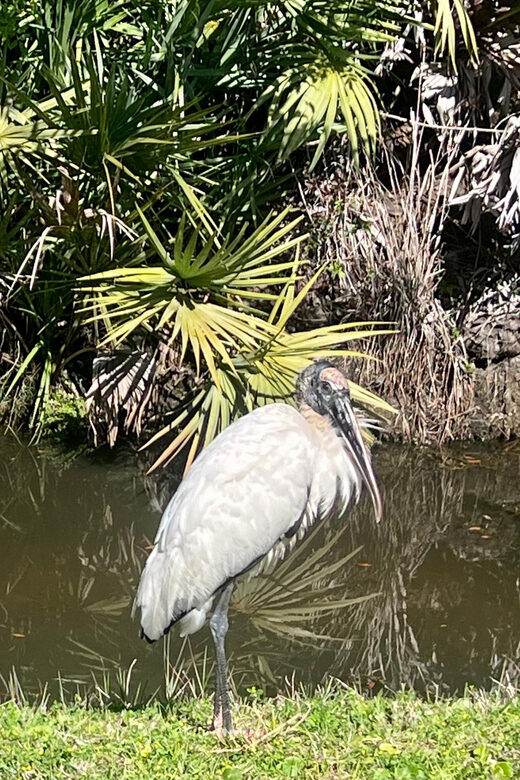 Manatee and Nature Tour of Ormond Beach - Who is This Tour Best For?